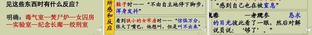 高中语文10奥斯维辛没有什么新闻课件新人教版必修1 课件