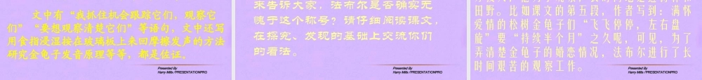 江苏省地区七年级语文下册 松树金龟子课件 人教新课标版 课件