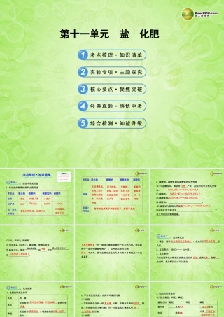 版中考化学 第十一单元盐 化肥(含中考示例)课件 新人教版 课件
