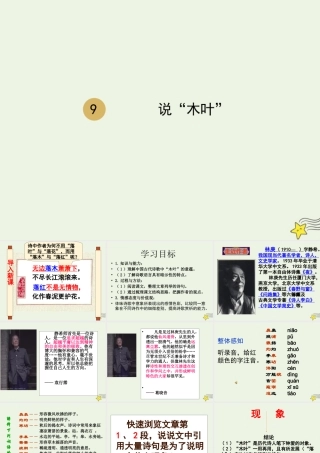 高中语文第三单元9说 木叶 课件1新人教版必修5 课件