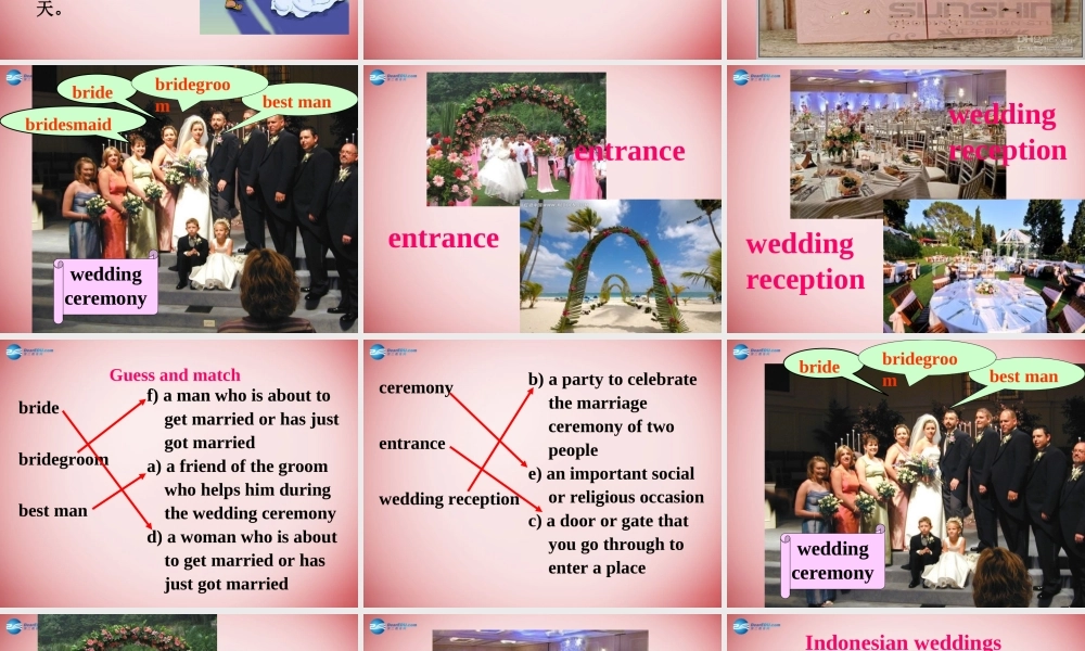 高中英语 Unit 3 Lesson3 Weddings课件 北师大版必修1 课件