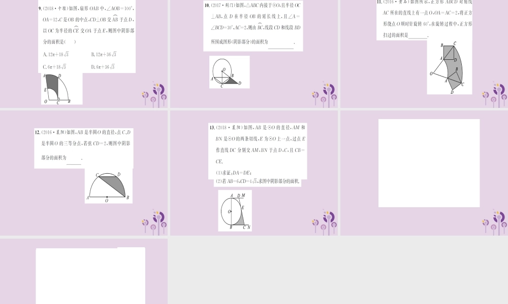 湖北省中考数学一轮复习 第六章 圆 第三节 与圆有关的计算课件