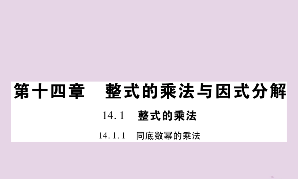 秋八年级数学上册 14(整式的乘法与因式分解)14.1 整式的乘法 14.1.1 同底数幂的乘法习题课件 (新版)新人教版 课件
