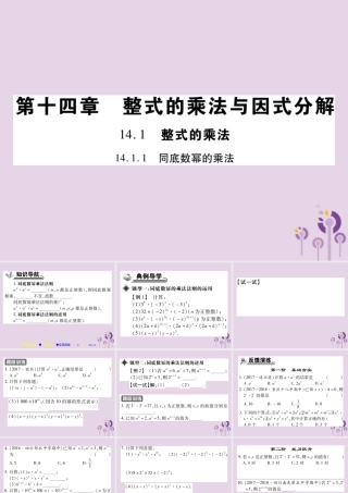 秋八年级数学上册 14(整式的乘法与因式分解)14.1 整式的乘法 14.1.1 同底数幂的乘法习题课件 (新版)新人教版 课件