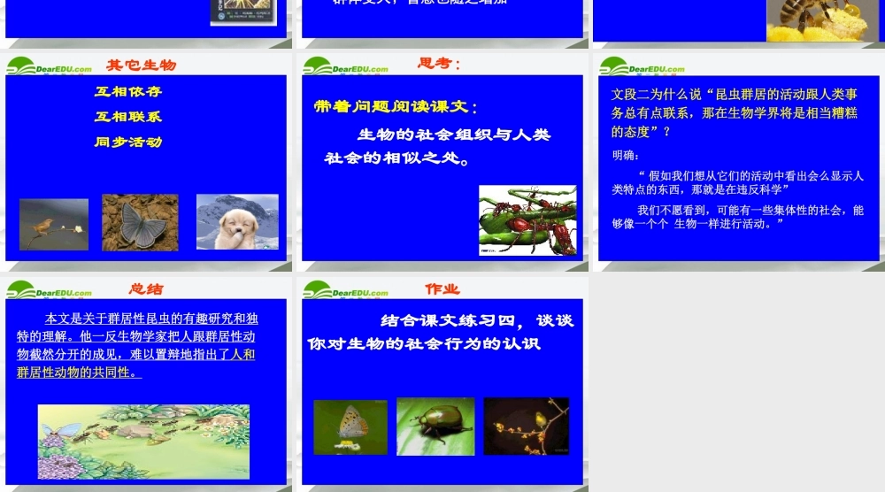 高中语文(作为生物的社会)教学课件 新人教版必修5 课件