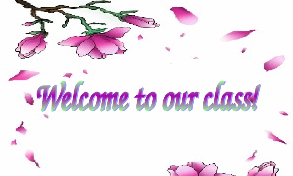 高中英语Unit2 The Universal Language--Project [ty]课件牛津版选修8 课件