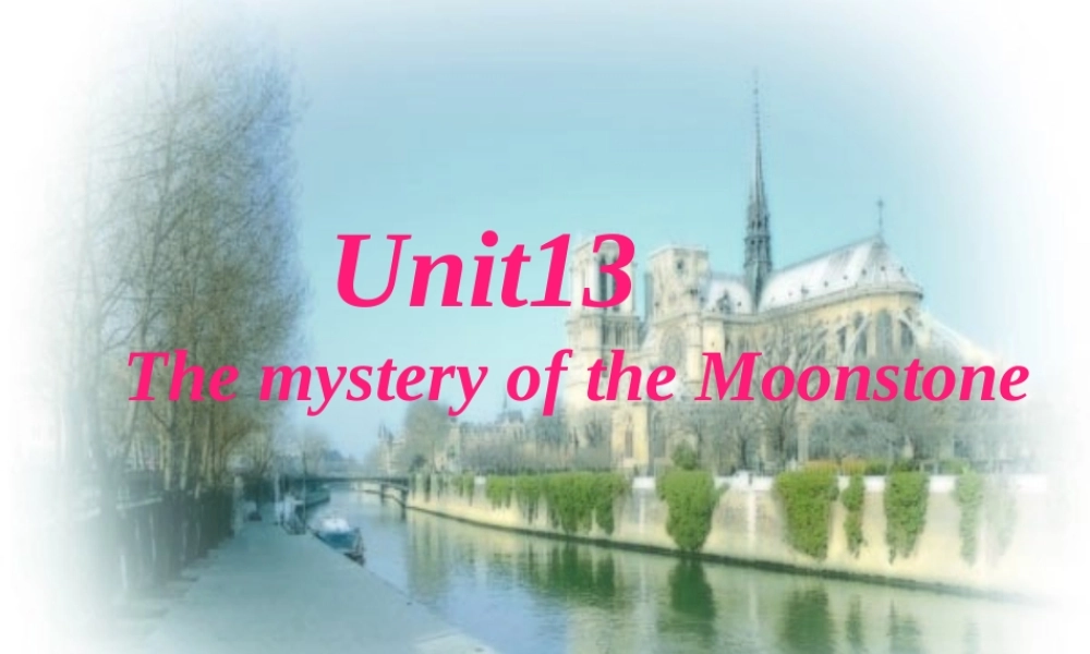 高三英语Unit13一语言点讲解课件