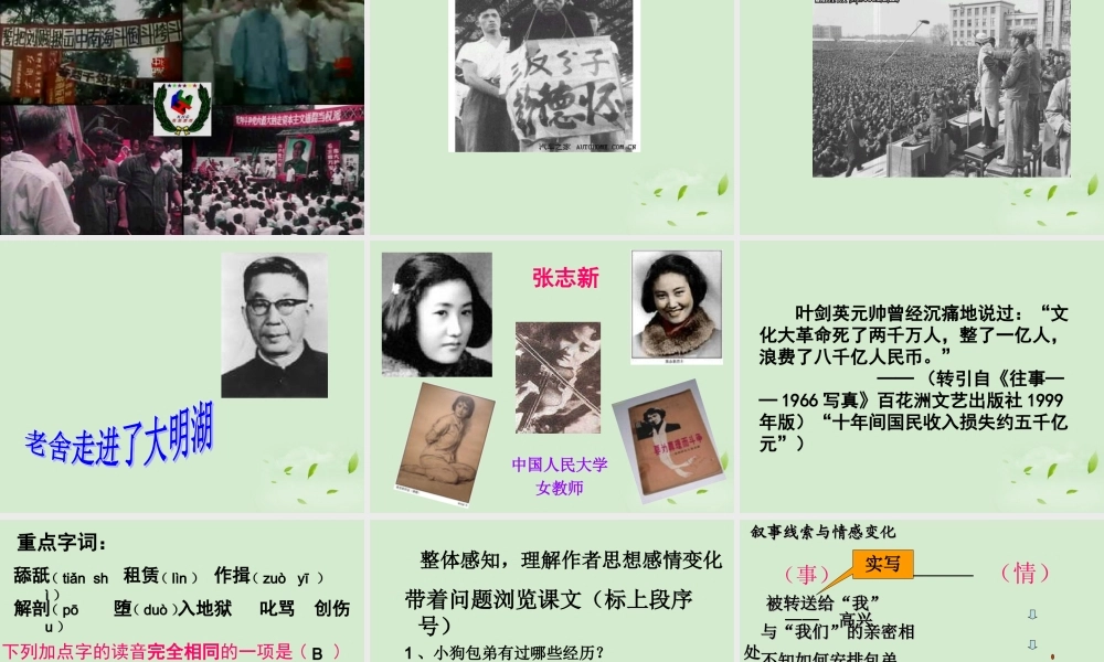 高中语文(小狗包弟)课件2 新人教版必修1 课件