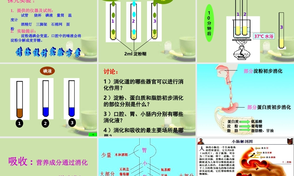 甘肃省会宁县七年级生物下册(人体对食物的消化吸收)课件(1)   课件