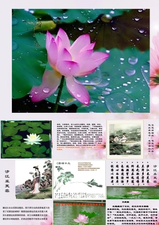 高中语文 涉江采芙蓉3课件 新人教版必修2 课件