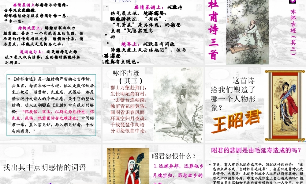 高中语文 第2单元第6课(杜甫诗三首)课件 新人教版必修3 课件