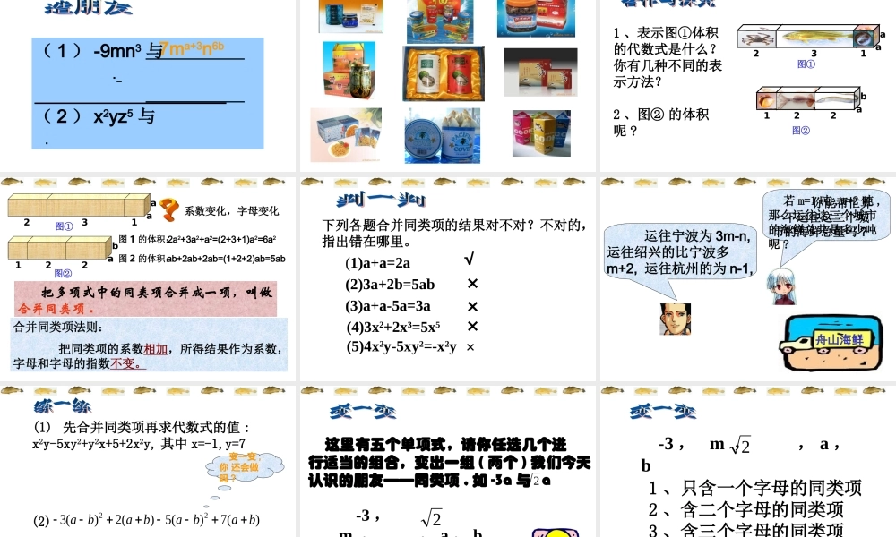 高考数学一轮复习 合并同类项3 ppt 试题