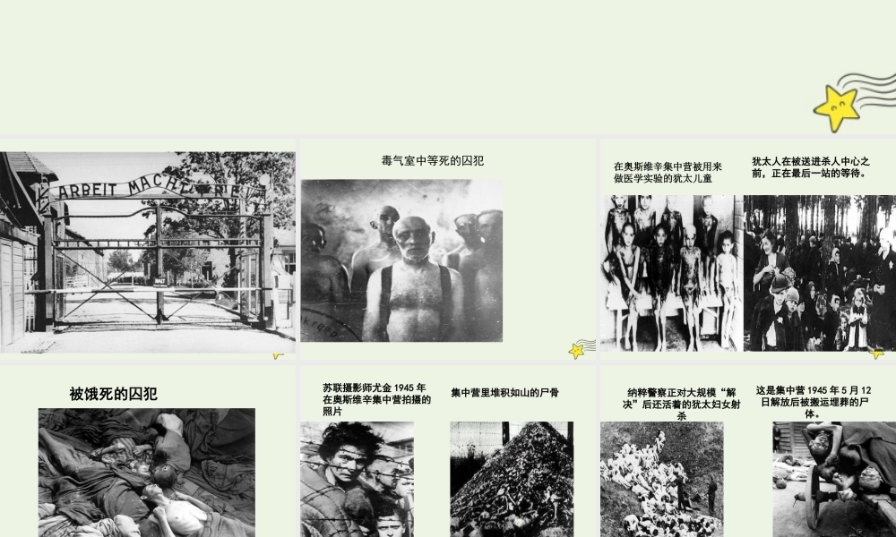 高中语文第四单元10奥斯维辛没有什么新闻课件2新人教版必修1 课件