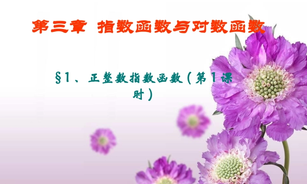 高一数学正整数指数函数教学课件