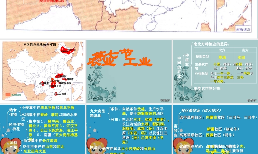 高二地理中国农业复习课件 新课标 人教版 课件