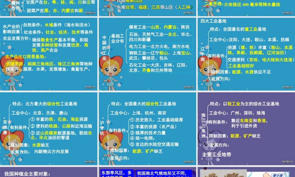 高二地理中国农业复习课件 新课标 人教版 课件