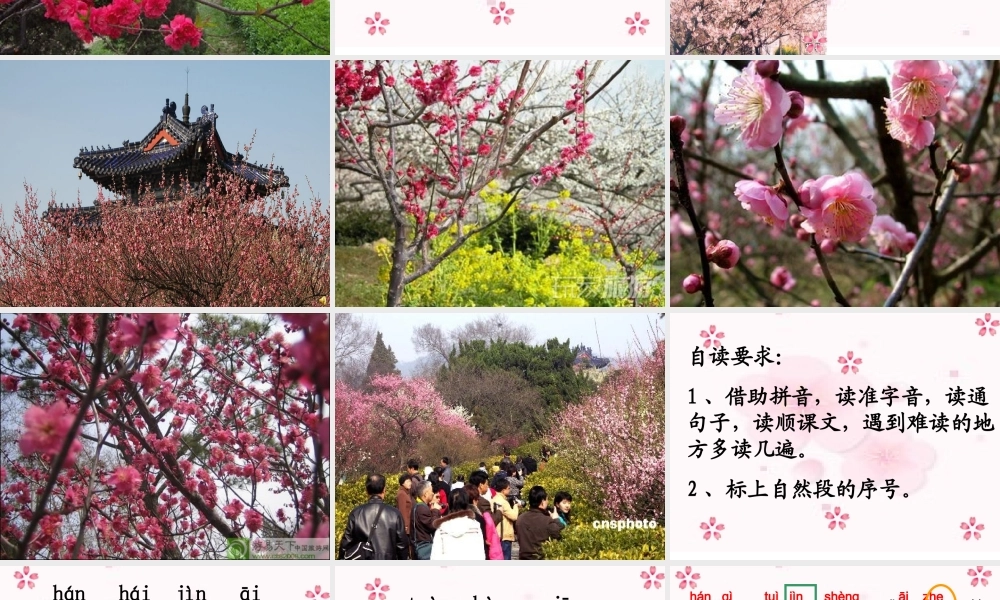 春到梅花山(第一课时)