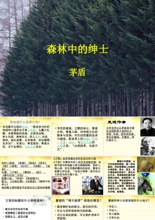 高中语文 (森林中的绅士)课件 新人教版选修(中国现代诗歌散文欣赏) 课件