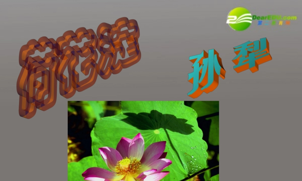 高中语文(荷花淀)课件 鲁人版必修1 课件