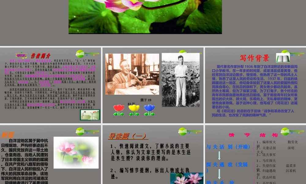 高中语文(荷花淀)课件 鲁人版必修1 课件