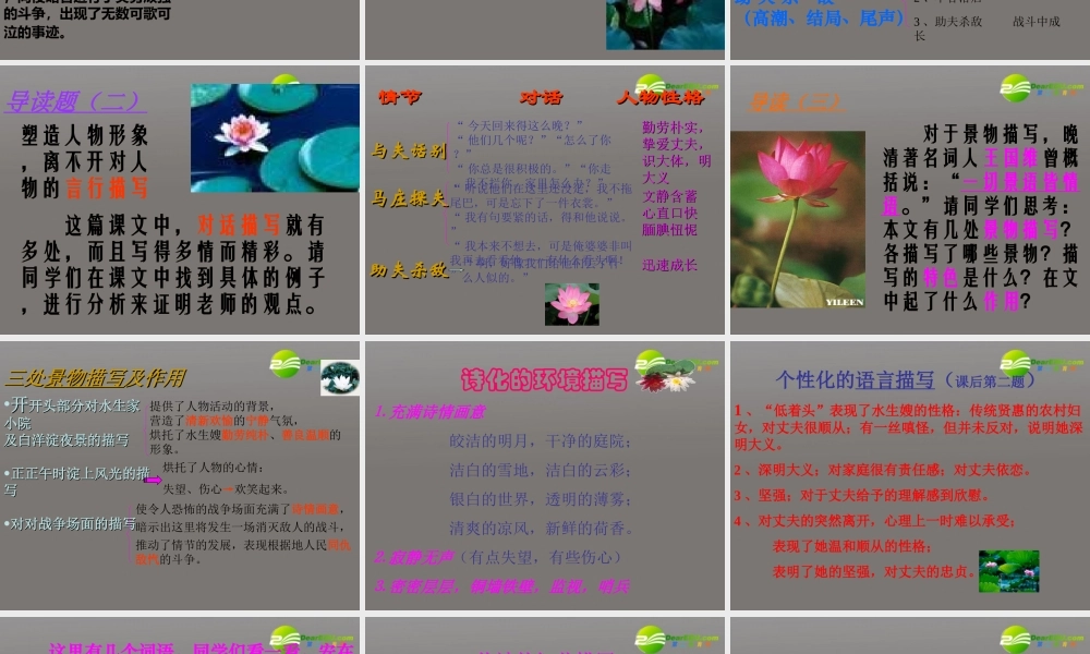 高中语文(荷花淀)课件 鲁人版必修1 课件