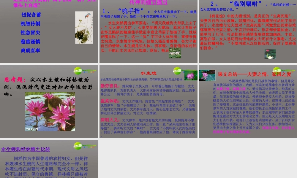 高中语文(荷花淀)课件 鲁人版必修1 课件