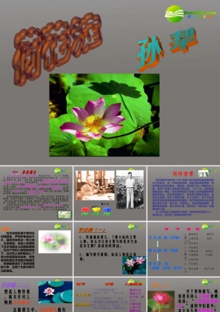 高中语文(荷花淀)课件 鲁人版必修1 课件