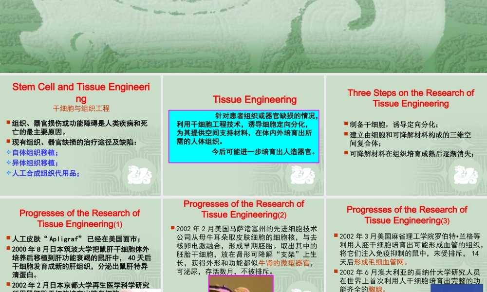 干细胞与组织工程