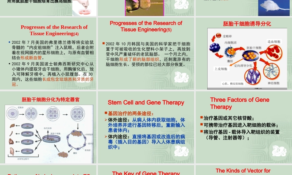 干细胞与组织工程