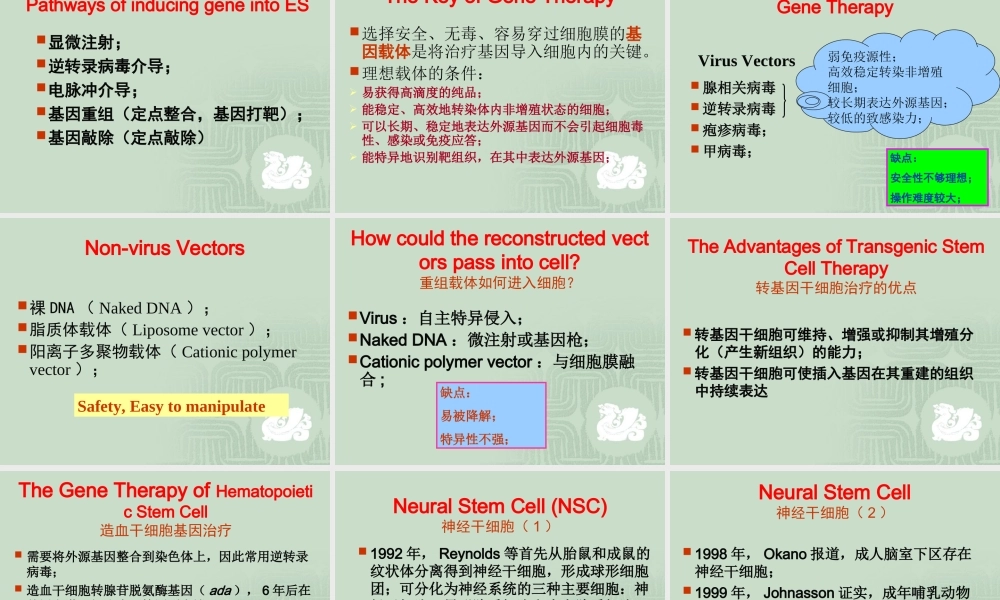 干细胞与组织工程