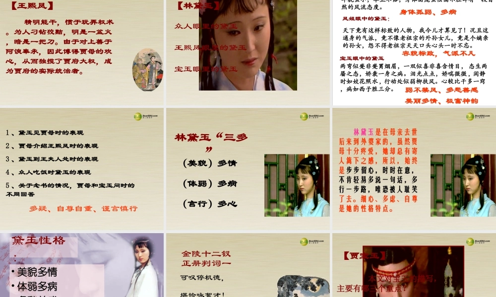 高中语文 林黛玉进贾府共3课时课件 新人教版必修3 课件