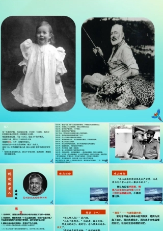 高中语文第一单元1桥边的老人课件新人教版外国小说欣赏 课件