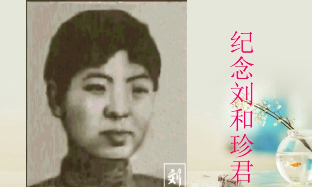 高中语文 纪念刘和珍君课件4课件 新人教版必修1 课件