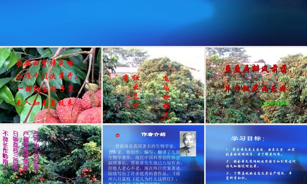 高一语文南州六月荔枝丹 课件