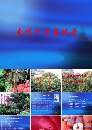 高一语文南州六月荔枝丹 课件