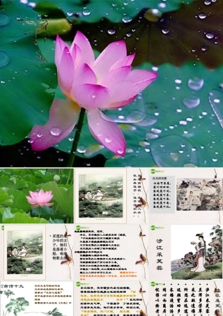 高中语文 涉江采芙蓉课件 新人教版必修2 课件
