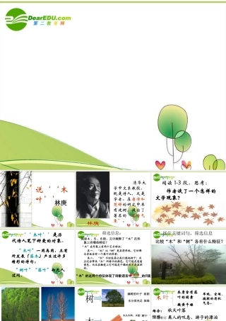 高中语文 林庚说木叶教学课件 新人教版必修5 课件