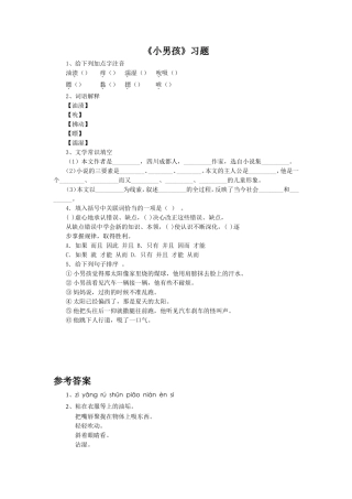 《小男孩》习题2