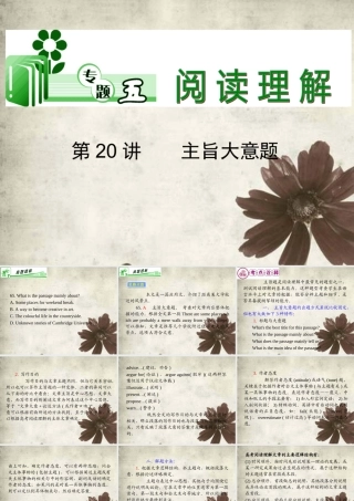 高考英语二轮总复习 第主旨大意题课件 新课标(湖南专用) 课件