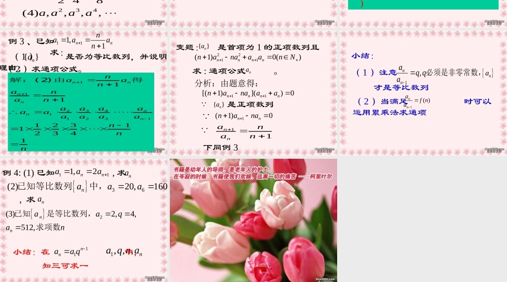 高一数学等比数列课件 苏教版 课件