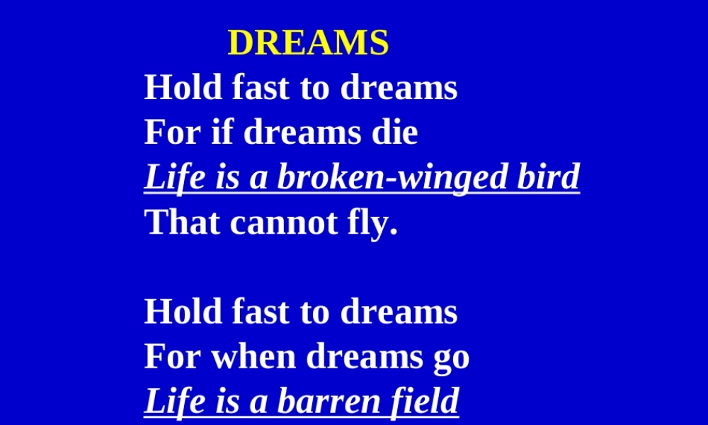 高中英语Unit 5 Literature  The Dream Keeperppt 课件