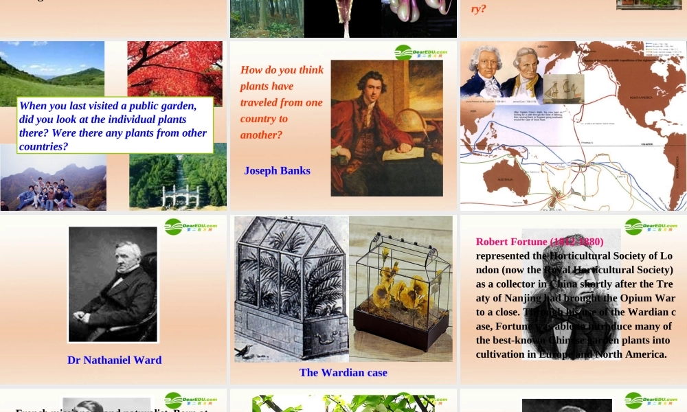 高中英语 Unit4Exploring plants-Reading课件 新人教选修9 课件