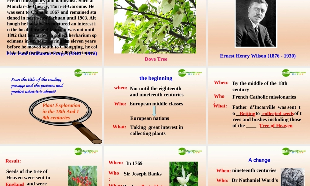 高中英语 Unit4Exploring plants-Reading课件 新人教选修9 课件