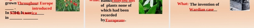 高中英语 Unit4Exploring plants-Reading课件 新人教选修9 课件