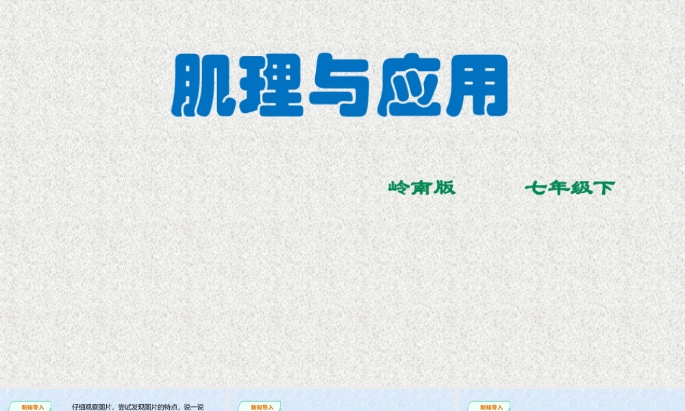 6肌理与应用-(2)