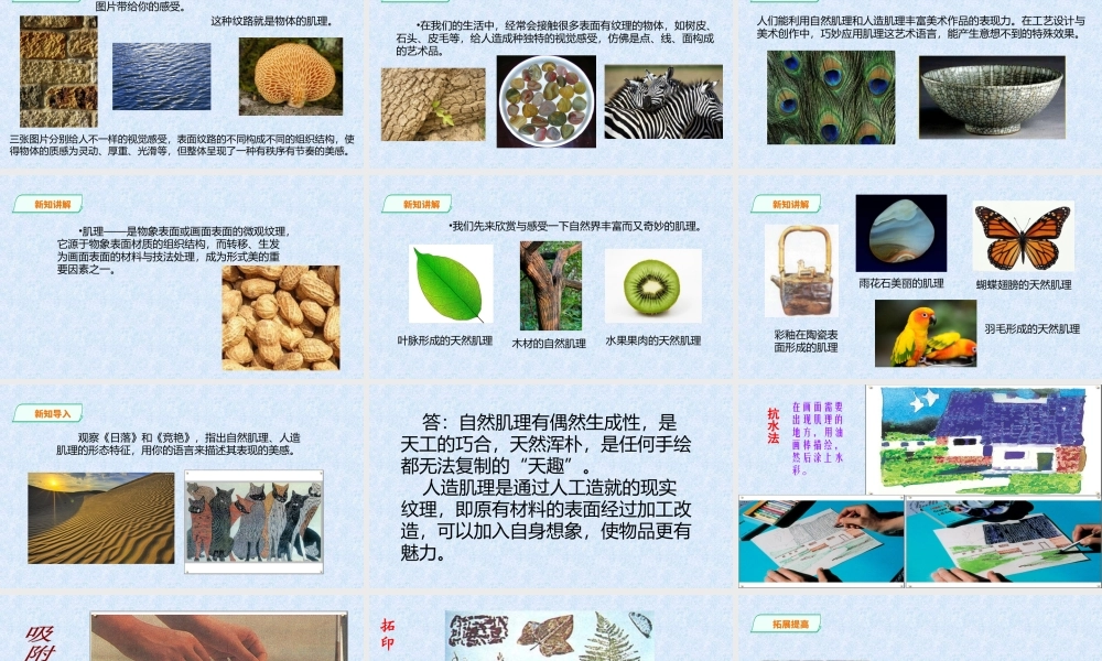 6肌理与应用-(2)