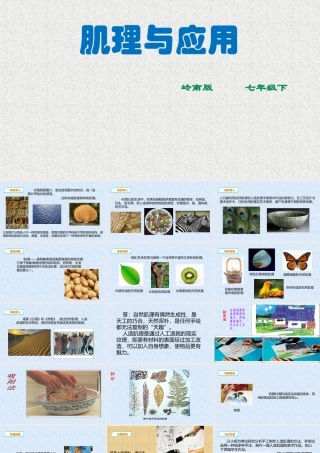 6肌理与应用-(2)
