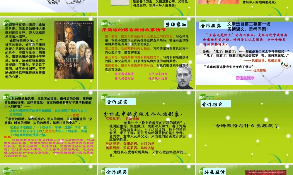 高中语文(哈姆莱特)课件1 沪教版第六册 课件