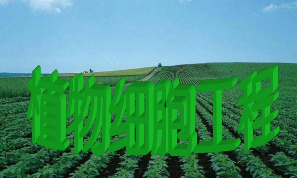 植物组织培养课件