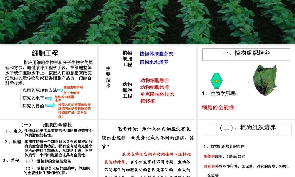 植物组织培养课件